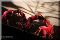 IMG_0388.jpg