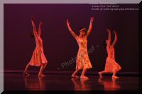 IMG_0409.jpg
